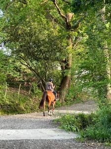 Villas Maison avec piscine - Bidart campagne proche plages : photos des chambres