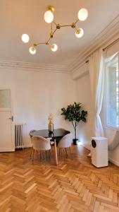 Jazzy et Spacieux Appartement Prom des Anglais