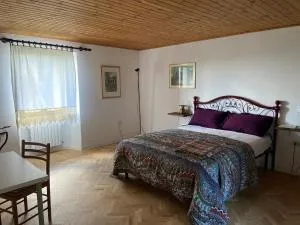 Stanza nel bosco alla Canova di Biforco - Santa Sofia