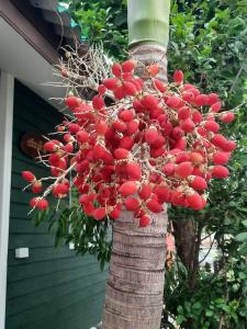 MrT Riverside Sampran มิสเตอร์ที โฮมสเตย์-ริมนที