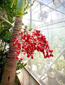 MrT Riverside Sampran มิสเตอร์ที โฮมสเตย์-ริมนที