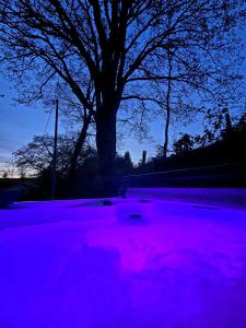 Chalets Le Chalet Cocon et Jacuzzi : photos des chambres