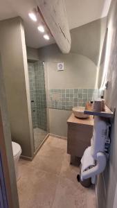 B&B / Chambres d'hotes Chateau le Bouis : photos des chambres