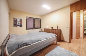 16-Helles 2-Zimmer Apartment -WLAN,große Balkon & kostenfrei parken