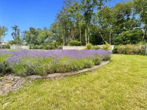 Appartements Sunny Suite Disneyland Paris - Rentaway BnB : photos des chambres