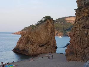 ANANDA Pals Beach !!