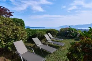 Cielo D'Italia Stella - Vignone