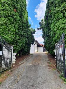 Apartma Grlica 