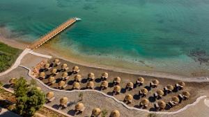 Anda Barut Collection - UltraInclusive