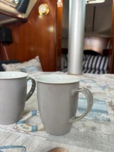 Barco à Vela em Peniche - West Sailing