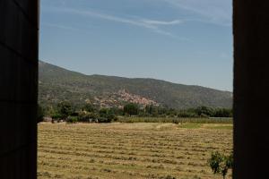 Appartements Gite Le Canigou 3 etoiles : photos des chambres
