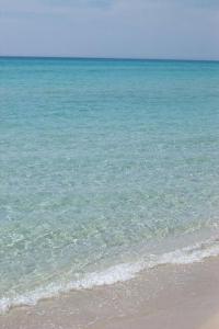 UGENTOMARINA 2026 TORRE SAN GIOVANNI 50metri dal mare