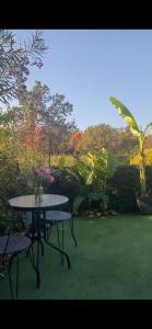 Appartements Les pieds dans l eau de Betty Ghisonaccia plage 50 m : photos des chambres