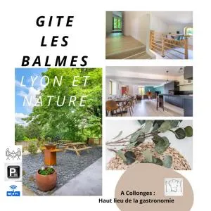 Maison conviviale proche de Lyon - 诺伊维尔索恩河畔