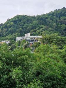 The Deck Condo Patong 5Fl Pool View