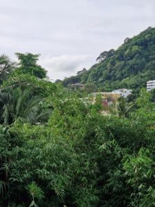 The Deck Condo Patong 5Fl Pool View