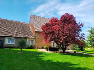 Maisons de vacances Gite 6 P au coeur des vignobles : photos des chambres