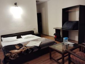 New Gulmarg Manali