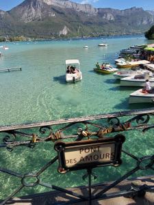 Villas annecy poisy Studio a 9 minutes du lac Annecy : photos des chambres