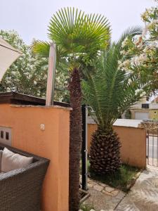 Aurelia Apartments, Vir