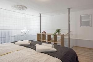 Spacious and charming apartment in the centre