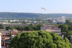 Panoramic Penthouse Apartment