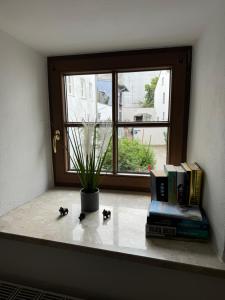 Rare Gem in Wasserburg