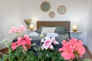 Apartamento turístico Ana - Allo