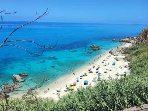 Glicine - Zaccanopoli