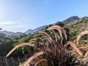 Ridge House for 4-10 PAX