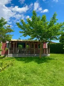 Mobil home 6 personnes piscine parc du Pilat - Maclas