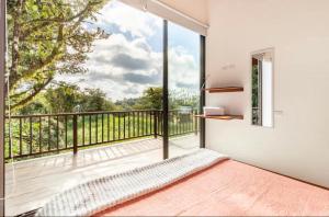 Puma Meraki Mountain View Monteverde