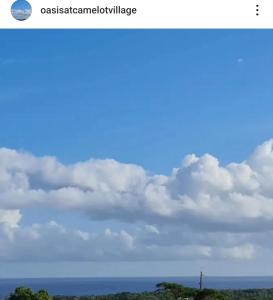 Oasis at Camelot Village