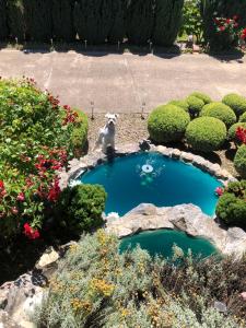 Apartment Vila MM Srce