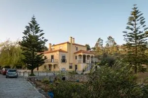 Alojamento Santo António - 阿尔卡内纳