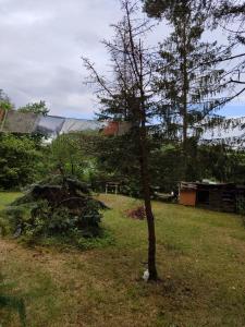 Lesní chata v Malé Hraštici