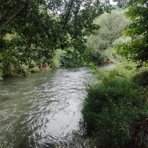 Umbria Valnerina , Il TARTUFFO, sulla via di Francesco