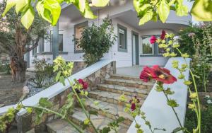 Olive Treasure Villa