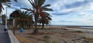 Vacaciones en el mar