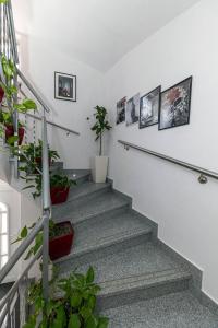 Apartment Erik 