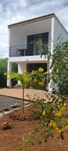 Amanda's Tiny Heaven