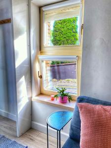 Apartament pod dębem