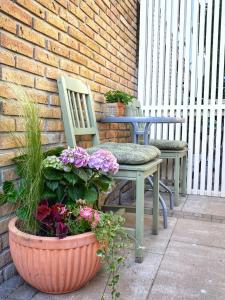 Apartament pod dębem