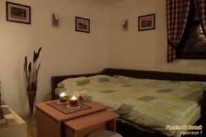 PLANINSKI KUTAK Tara - Apartman 1