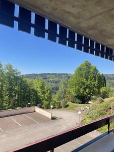 Appartements Appartement accueillant aux Tholy 31 m² vue montagne : photos des chambres