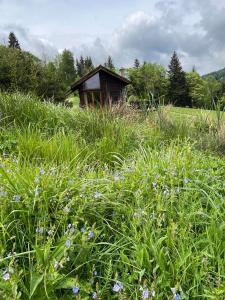 Pod dobrym adresem-domek na łące