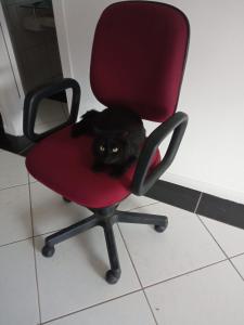 Pousada Orquídea Araquari