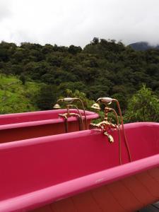 La Gloria Reserva Forestal