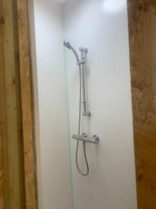 Spindle Tree Glamping near Brighton