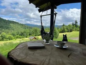 Pod dobrym adresem- domek pod lasem - Maniów